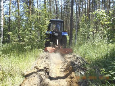 Противопожарные и лесовосстановительные работы в костромских лесах - фото 1