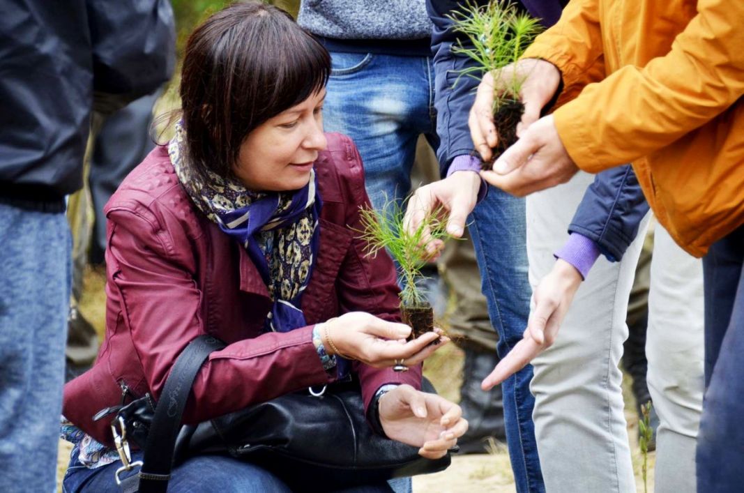 В Рязанской области высадили 600 сеянцев сосны по новейшей технологии - фото 3