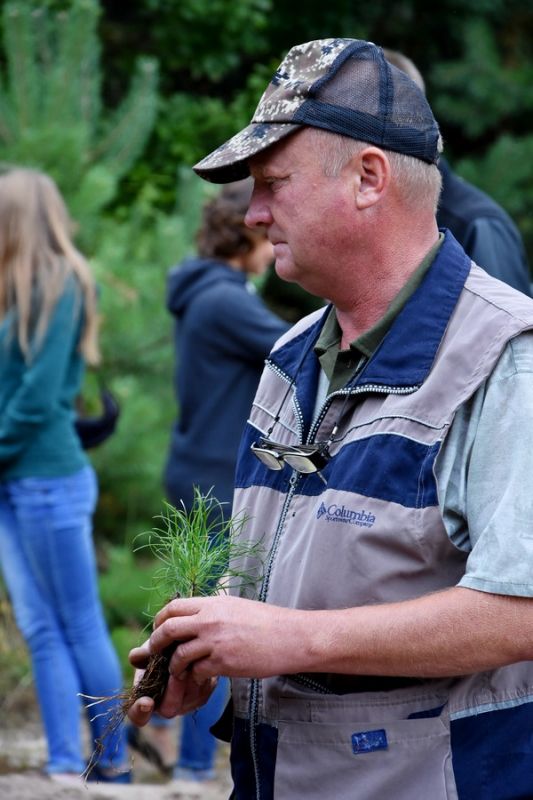 В Рязанской области высадили 600 сеянцев сосны по новейшей технологии - фото 12
