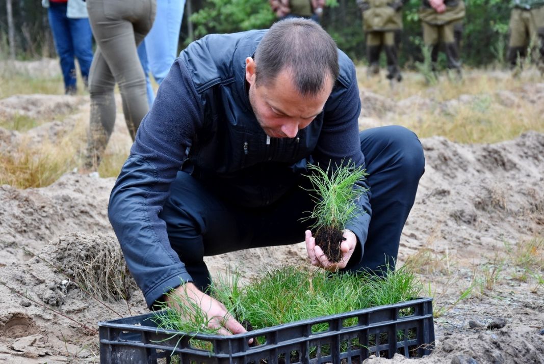 В Рязанской области высадили 600 сеянцев сосны по новейшей технологии - фото 13
