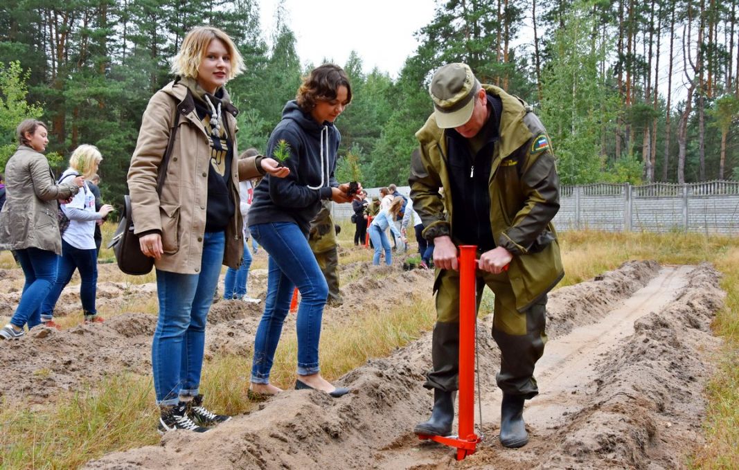 В Рязанской области высадили 600 сеянцев сосны по новейшей технологии - фото 18
