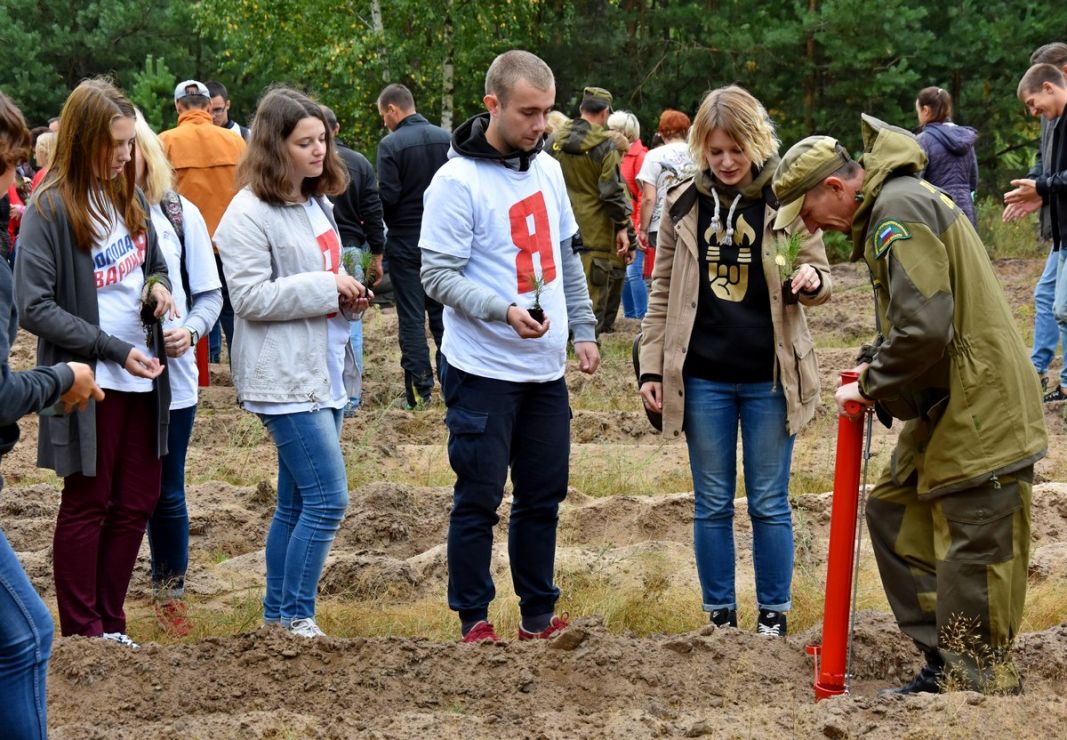 В Рязанской области высадили 600 сеянцев сосны по новейшей технологии - фото 19