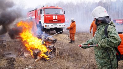 Утвержден сводный план тушения лесных пожаров на территории Липецкой области - фото 1