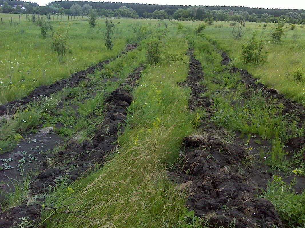Зелёная граница Белогорья – проект на долгую перспективу - фото 2