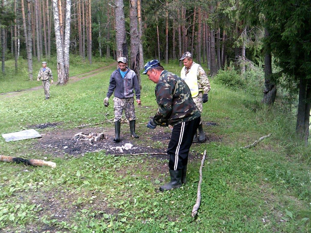 Леса Ярославской области приводят в порядок - фото 8