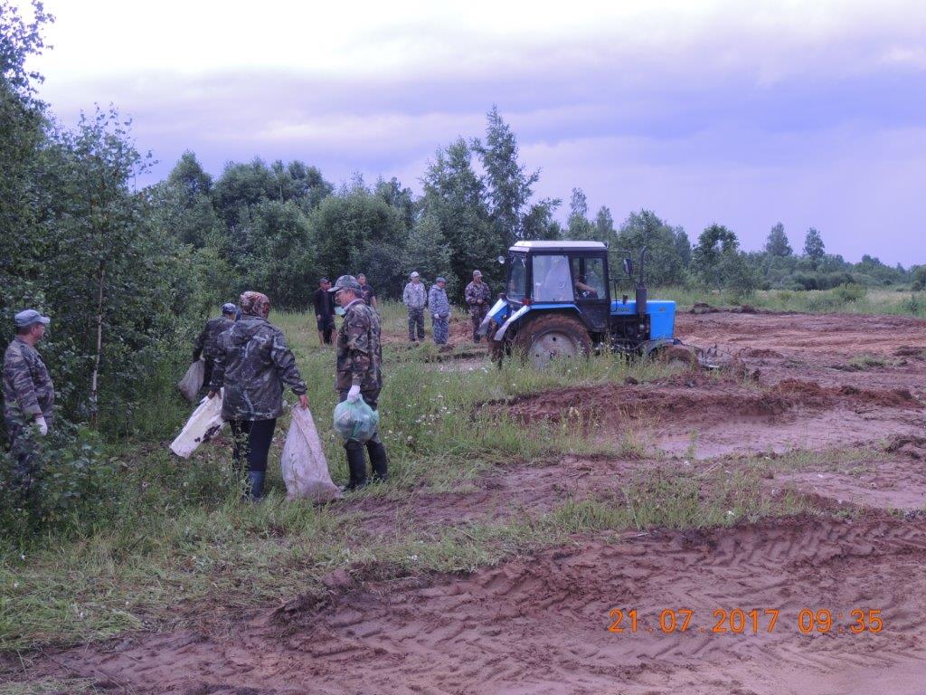 Леса Ярославской области приводят в порядок - фото 11