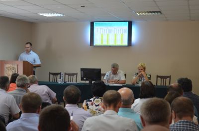 Масштабное лесообновление продолжается в Липецкой области - фото 1