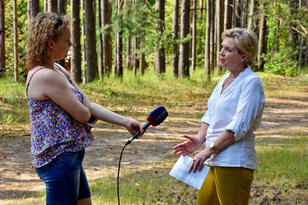 В Рязанской области проходит массовая уборка леса от сухостойных деревьев и неликвидной древесины - фото 2