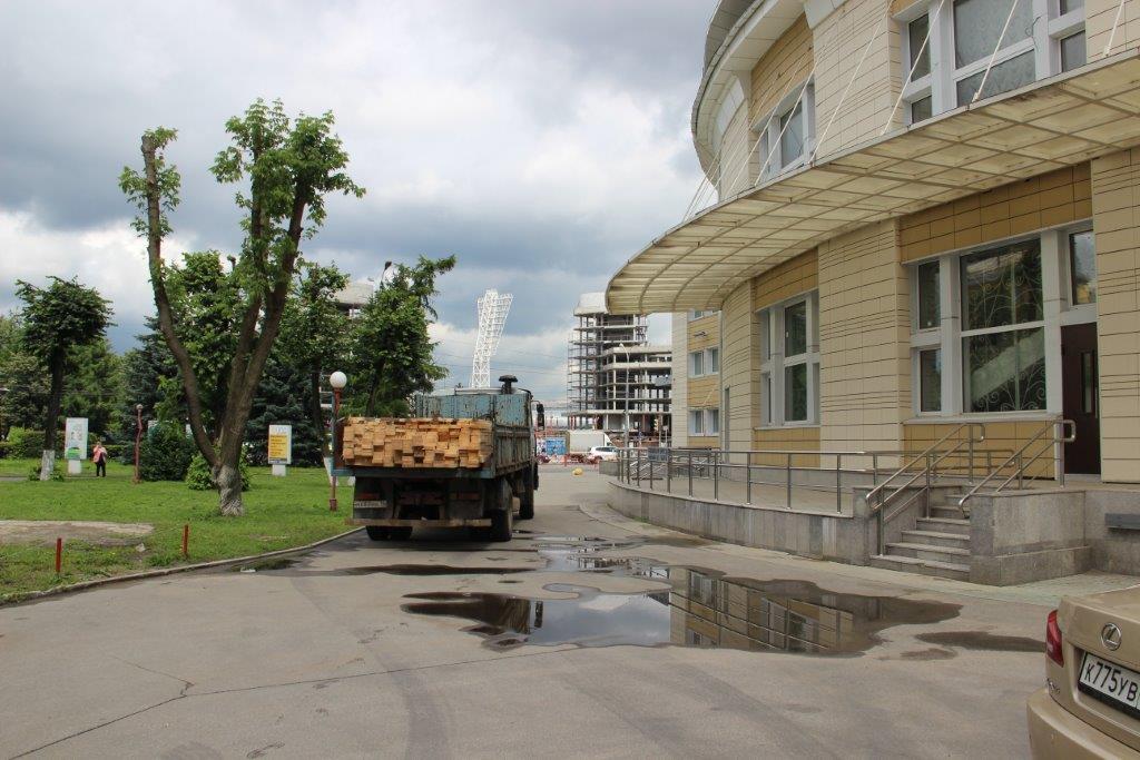 Ярославские лесники оказали помощь Ярославскому государственному цирку - фото 3