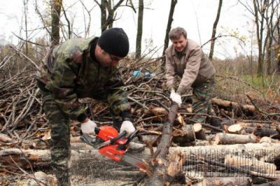 Департамент лесного хозяйства Костромской области информирует лесопользователей об особенностях заготовки и использования древесины - фото 1