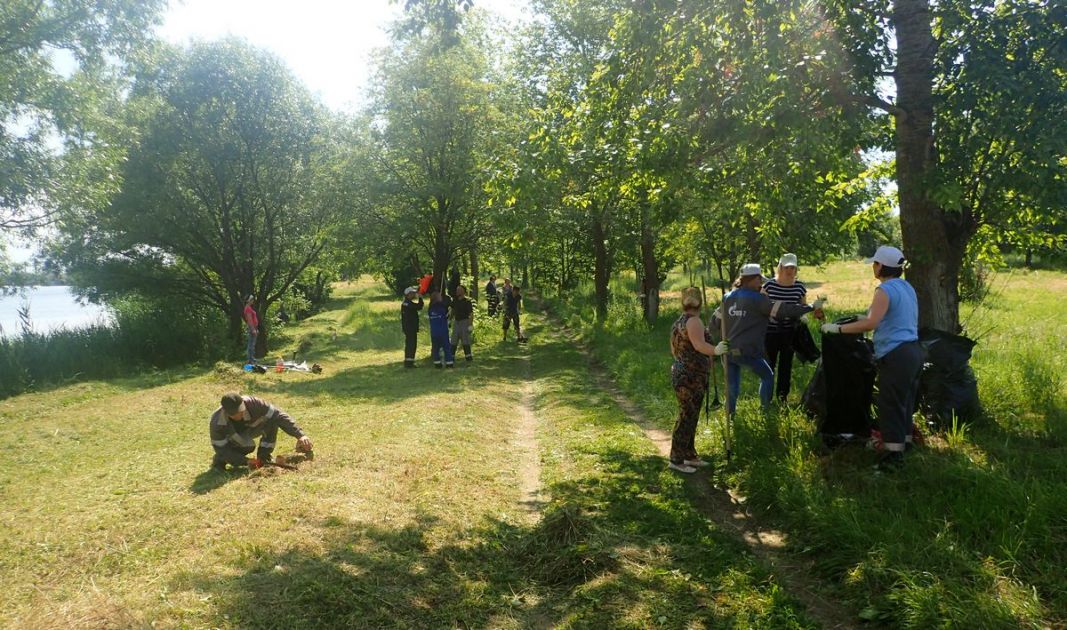В Пронском районе Рязанской области  прошли экологические соревнования - фото 3