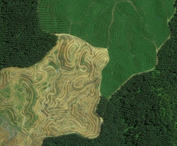 На Олимпиаде НТИ разработают алгоритм решения важных экологических задач на основе спутниковых снимков - фото 1