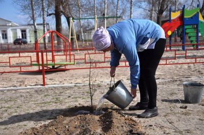 В лесничествах Воронежской области продолжаются мероприятия, приуроченные к Году добровольца - фото 1