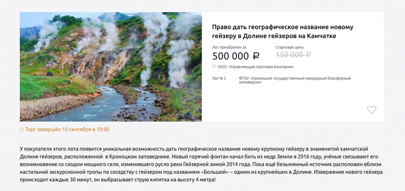 В рамках ВЭФ-2018 в 4-ый раз состоялся ежегодный благотворительный аукцион в поддержку проектов по защите исчезающих и редких видов животных Дальнего Востока - фото 4
