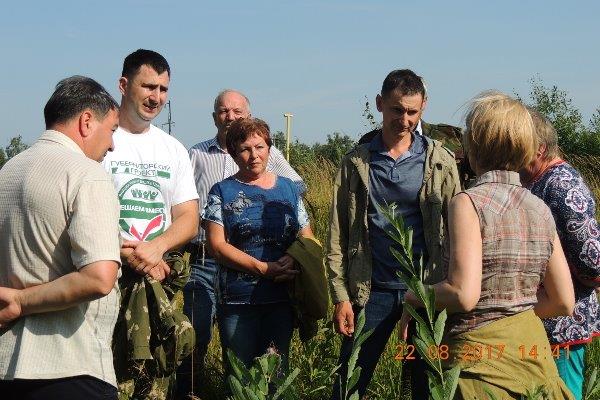 Встреча директора Департамента лесного хозяйства Ярославской области Савельева Н.А. с депутатом Первомайского района - фото 4