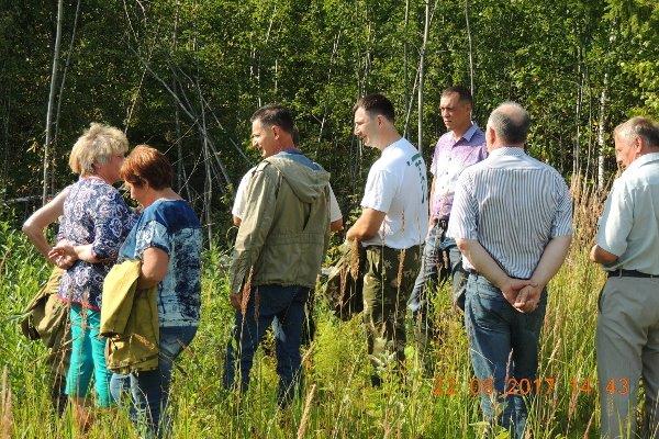Встреча директора Департамента лесного хозяйства Ярославской области Савельева Н.А. с депутатом Первомайского района - фото 5