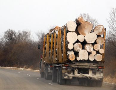 Сотрудники полиции и лесной охраны Курской области проводят совместные дежурства и патрулирования - фото 1