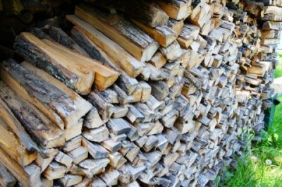 В Курской области изменен порядок и нормативы заготовки  гражданами древесины для собственных нужд - фото 1