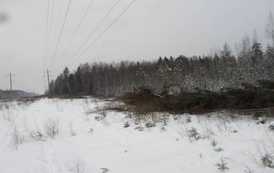 Более 192 км просек вдоль линий электропередачи расчищено организациями-лесопользователями в Тверской области - фото 1