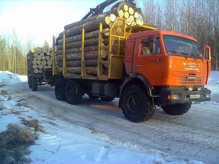 Перевозчиков древесины проверили в  Осташковском районе Тверской области - фото 2