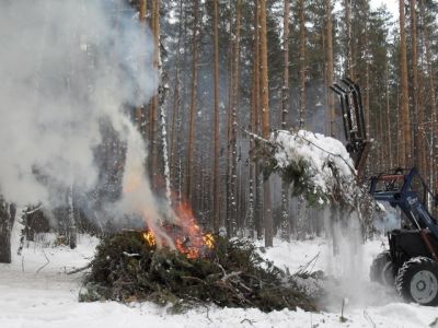 С наступлением зимы в лесничествах Воронежской области  работа не останавливается - фото 1