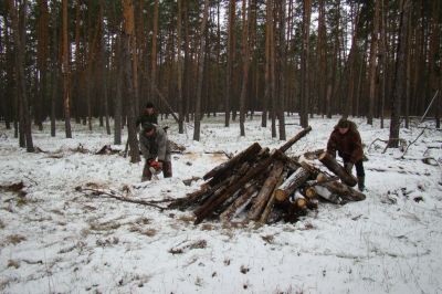 В лесничествах Воронежской области продолжатся работы по улучшению санитарного состояния лесов - фото 1