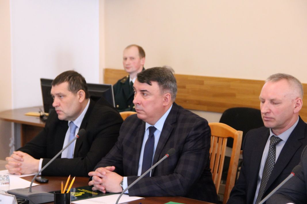 Борьба с незаконным оборотом древесины в Ивановской области - фото 4