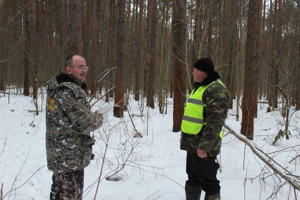 В Год волонтера в Ярославском регионе начали работу общественные лесные инспекторы - фото 1
