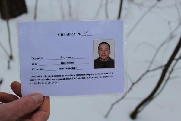 В Год волонтера в Ярославском регионе начали работу общественные лесные инспекторы - фото 2