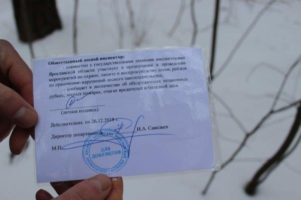В Год волонтера в Ярославском регионе начали работу общественные лесные инспекторы - фото 3