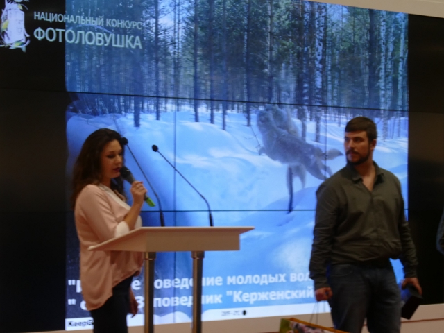 Керженский заповедник стал призером конкурса «Фотоловушка-2017» - фото 1
