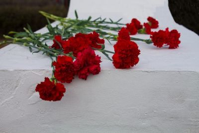 В Сомовском лесничестве Воронежской области создадут   мемориальный комплекс  в память жертв политических репрессий - фото 1
