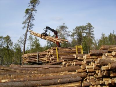 В Костромской области продолжается совместная работа по вопросу взыскания задолженности - фото 1