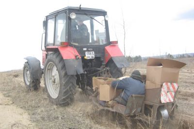 В лесничествах Воронежской области выполнен годовой объем по посадке лесных культур - фото 1