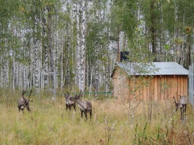 День энергосбережения – 11 ноября! - фото 1