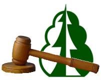 Состоялся очередной аукцион по продаже права на заключение договоров купли-продажи лесных насаждений - фото 1