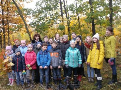 Заготовка желудя в Липецкой области - фото 1