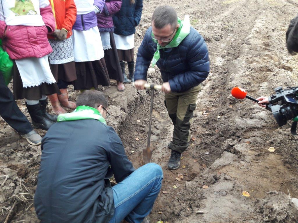 В рамках Всероссийской акции «Живи, лес!» в Ярославской области высажено 30, 5 тысяч хвойных деревьев - фото 2