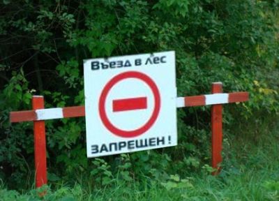 В Липецкой области введено ограничение на посещение лесов в целях обеспечения пожарной безопасности - фото 1