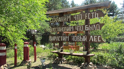 В Управлении лесного хозяйства Воронежской области подведены итоги конкурса на звание «Лучшая усадьба-2017» - фото 2