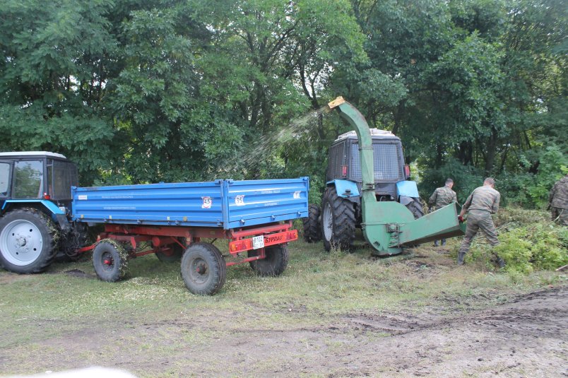 Управление лесами Белгородской области приняло участие во Всероссийском экологическом субботнике «Зелёная Россия» - фото 3