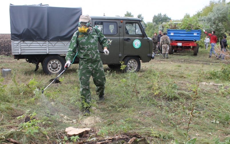 Управление лесами Белгородской области приняло участие во Всероссийском экологическом субботнике «Зелёная Россия» - фото 5