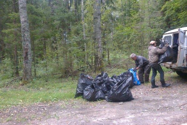 Ликвидация несанкционированных свалок на территории лесного фонда Ярославской области - фото 1