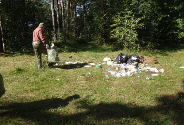 Ликвидация несанкционированных свалок на территории лесного фонда Ярославской области - фото 5