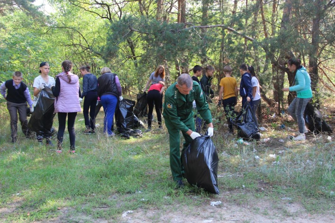 В Воронежской области стартовала акция «Живи, лес!» - фото 4