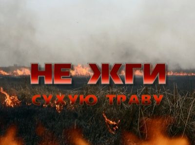 В Воронежской области подведены итоги информационной кампании против поджогов сухой травы - фото 1