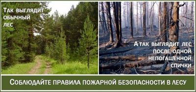 На территории трех районов Курской области введен особый противопожарный режим - фото 1