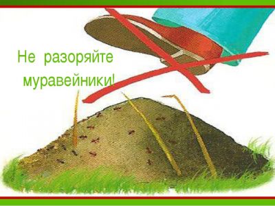 Экологический детектив - фото 1