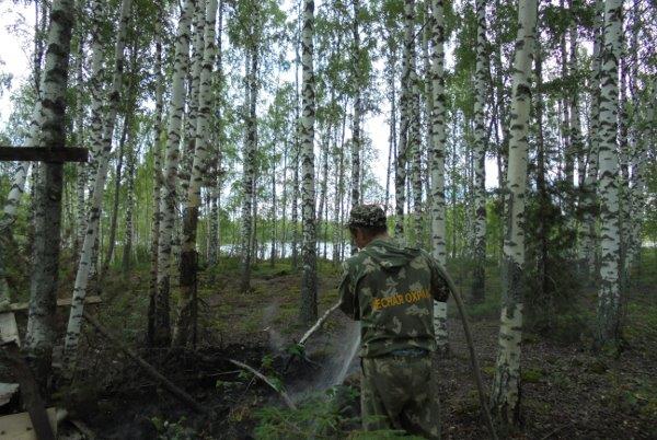 В усиленном режиме проводится мониторинг пожарной опасности  на территории лесного фонда Ярославской области - фото 1