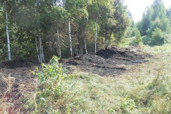 В усиленном режиме проводится мониторинг пожарной опасности  на территории лесного фонда Ярославской области - фото 3